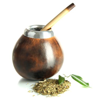 su kabakları ve bombilla üzerinde beyaz izole yerba dostum ile