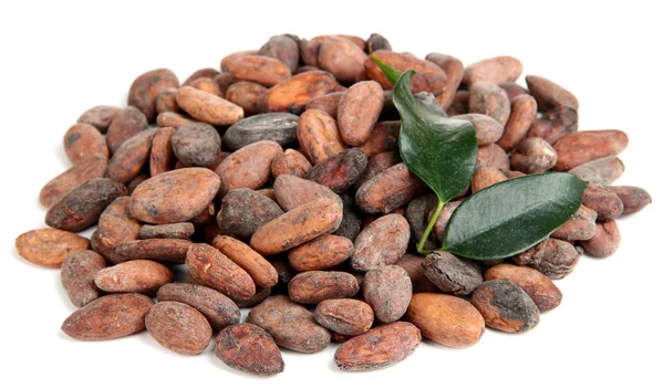 Kakaobohnen mit auf weiß isolierten Blättern — Stockfoto