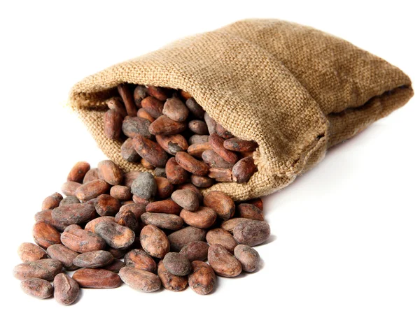 Cacao en bolsa aislado en blanco — Foto de Stock