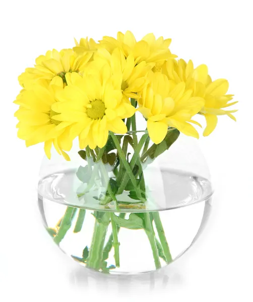 Beautiful flowers in bowl isolated on white — Stock Photo, Image