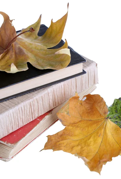 Books and autumn leaves isolated on white — Stock Photo, Image