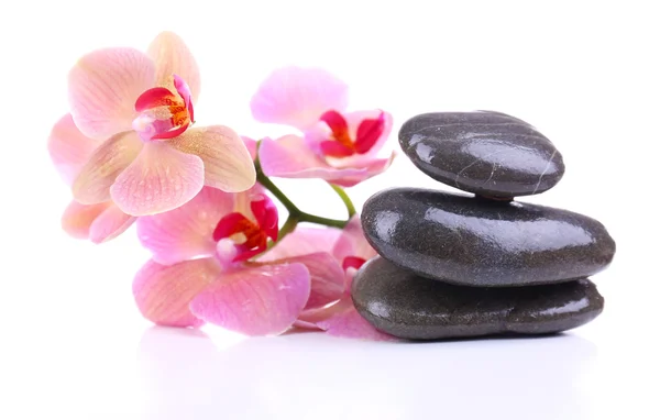 Složení s krásnou kvetoucí orchidej kapky vody a wellness kameny, izolované na bílém — Stock fotografie