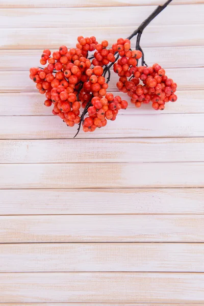 木製の背景に人工の果実 — ストック写真