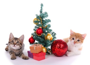 küçük yavru kedi ile üzerine beyaz izole Noel süsleri