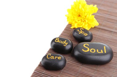 Beyaz üzerine izole spa taşları