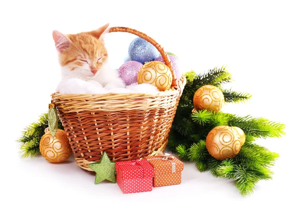Kleines Kätzchen mit Weihnachtsdekoration isoliert auf weiß — Stockfoto