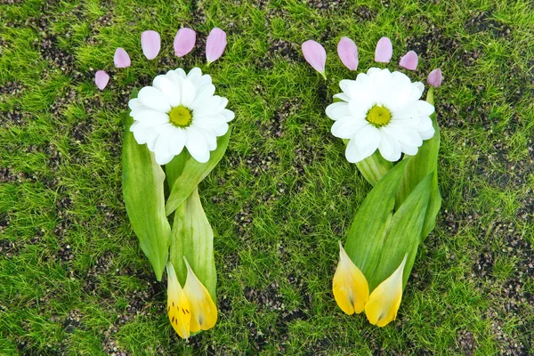 Ayak yaprakları ve çiçekleri çim yakın çekim — Stok fotoğraf