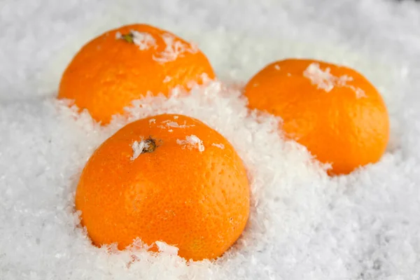 Ripe tangerines in snow close up