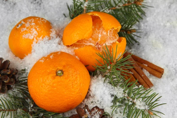 Dojrzałe mandarynki z gałąź jodła w śniegu z bliska — Zdjęcie stockowe