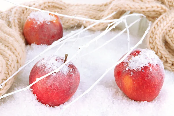 Maçãs vermelhas na neve perto — Fotografia de Stock