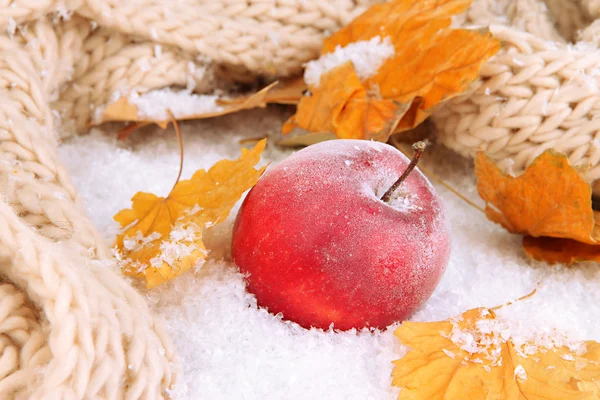 Pomme rouge dans la neige gros plan — Photo