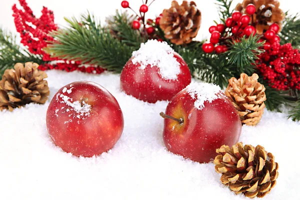 Zblízka červená jablka s větvemi jedlí ve sněhu — Stock fotografie