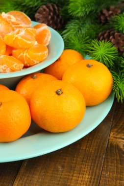 köknar dalı kase olgun mandalina yakın çekim