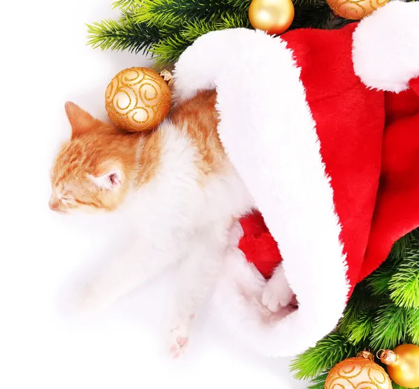 Petit chaton avec décorations de Noël isolé sur blanc — Photo