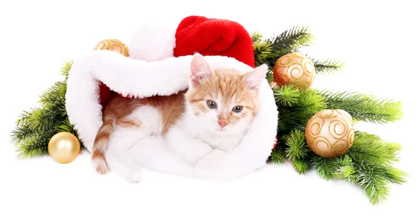 Mały kotek z ozdób świątecznych na białym tle — Zdjęcie stockowe