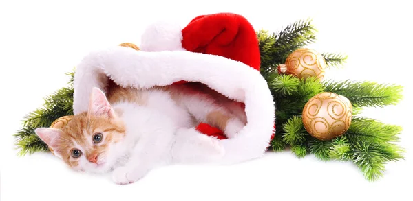 Pequeno gatinho com decorações de Natal isolado em branco — Fotografia de Stock