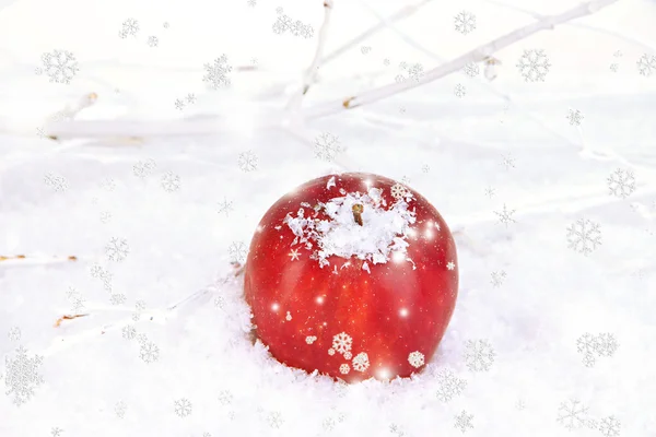 Manzana roja en la nieve cerca — Foto de Stock