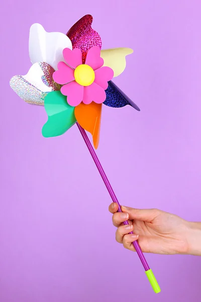 Kolorowy Wiatraczek w dłoni na tle liliowy — Zdjęcie stockowe