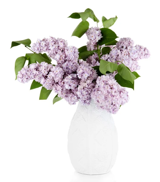 Krásné květy izolovaných na bílém — Stock fotografie