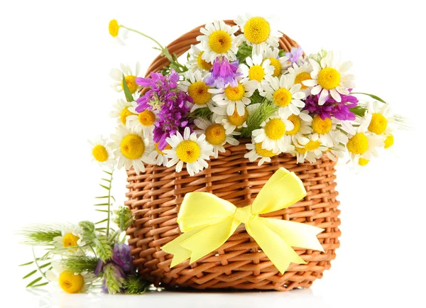 Beautiful wild flowers in basket, isolated on white — Stock Photo, Image