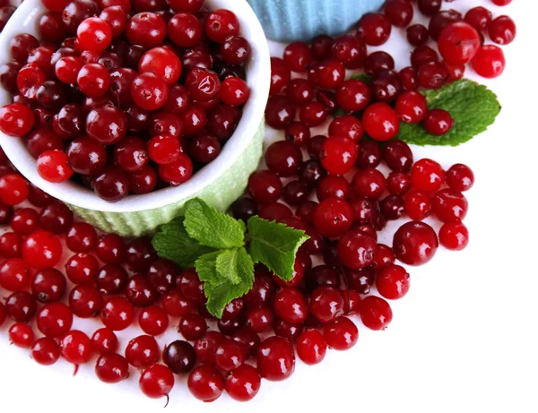 Olgun kırmızı cranberries Whit üzerinde izole kase, — Stok fotoğraf