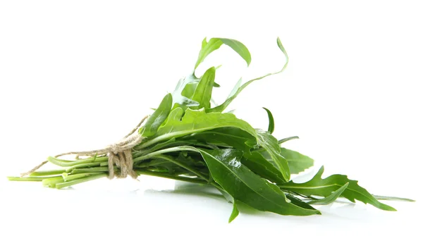 Rucola fresca, isolata su bianco — Foto Stock