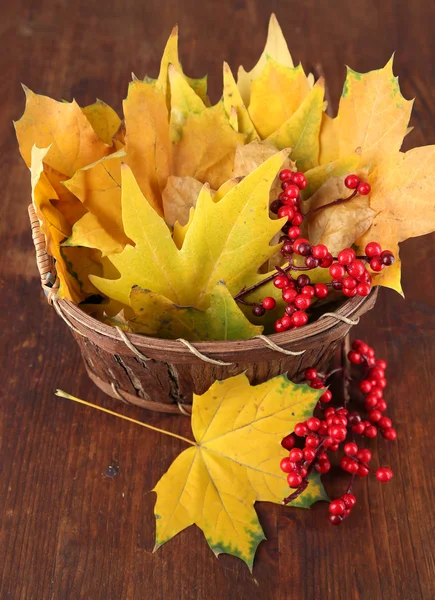 Hermosas hojas de otoño y bayas rojas en cesta sobre fondo de madera —  Fotos de Stock