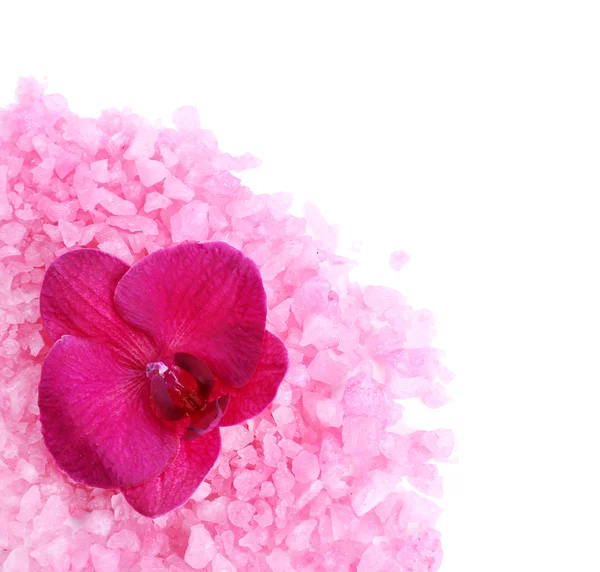 Красивый цветущий цветок орхидеи и куча морской соли, изолированные на белом — стоковое фото
