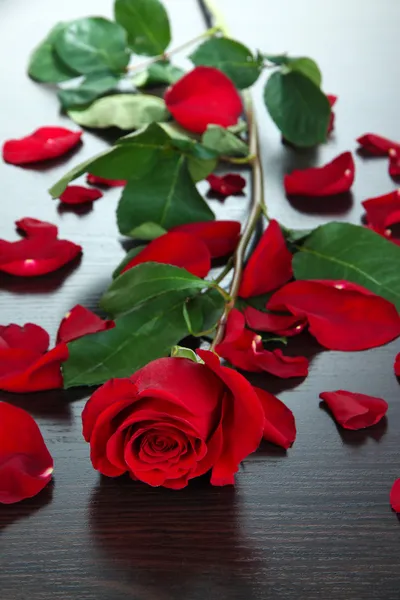 Hermosa rosa roja en la mesa de madera primer plano —  Fotos de Stock