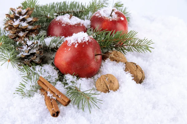 Pommes rouges avec branches de sapin dans la neige close up — Photo