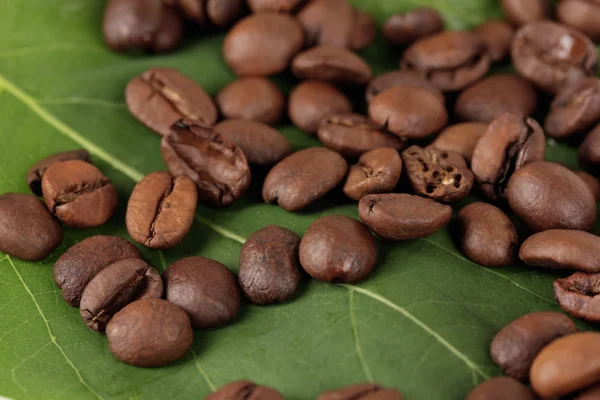 Coffee grains on green leaf close-up — Stock Photo, Image