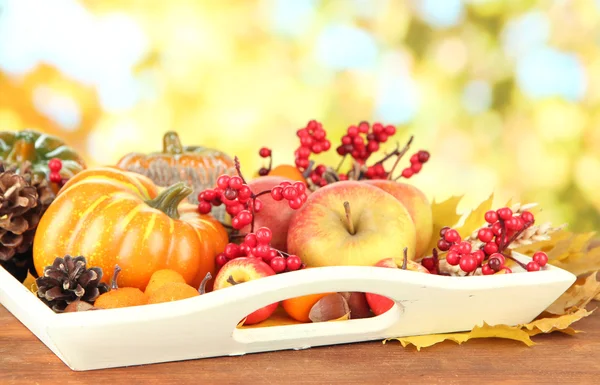 Schöne Herbstkomposition, auf Naturhintergrund — Stockfoto