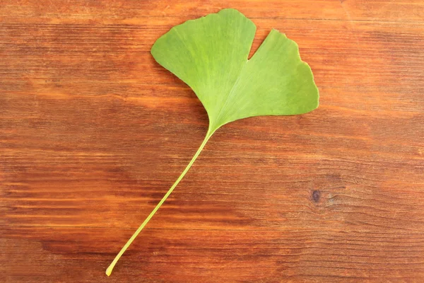 Ginkgo biloba hoja sobre fondo de madera — Foto de Stock