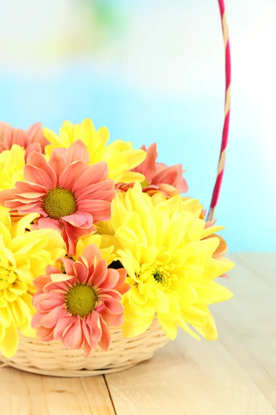 Chrysanthemum flowers in basket on wooden table on natural background — Stock Photo, Image