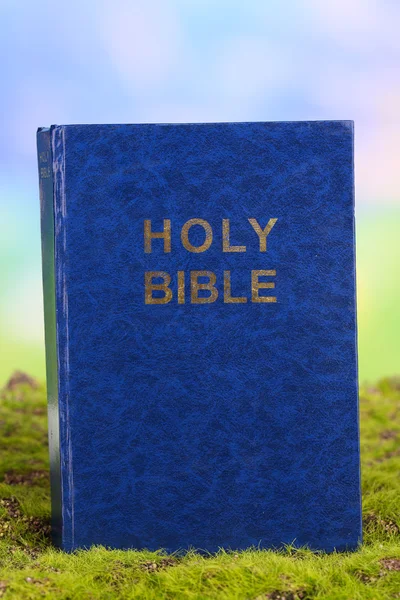 Bible na trávě na přírodní pozadí — Stock fotografie