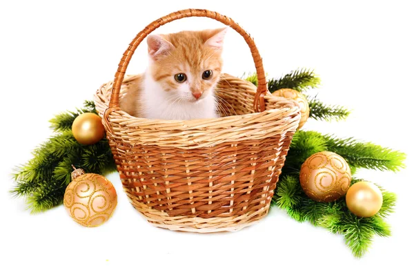 Pequeño gatito con adornos navideños aislados en blanco — Foto de Stock