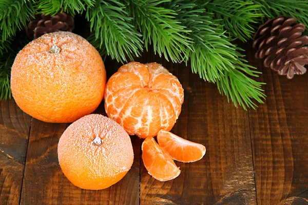 Ripe frosted tangerines with fir branch on wooden background — Stock Photo, Image
