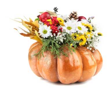 kabak üzerine beyaz izole güzel sonbahar kompozisyon