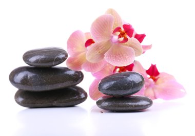 güzel çiçek açan orkide su damlaları ve üzerinde beyaz izole spa taşlar ile kompozisyon