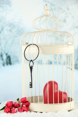 Kalp Kış zemin üzerine dekoratif kafes içinde