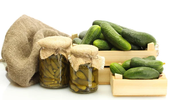 Fresh cucumbers in boxes and pickles isolated on white — Stock Photo, Image