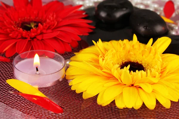 Pedras de spa com flores e velas em água na placa — Fotografia de Stock