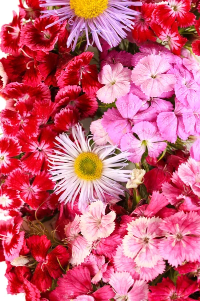 Background wildflowers — Stock Photo, Image