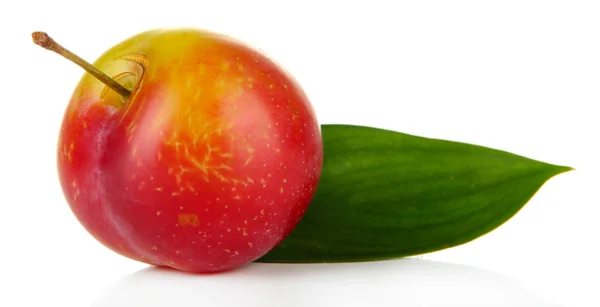Ripe plum isolated on white — Stock Photo, Image