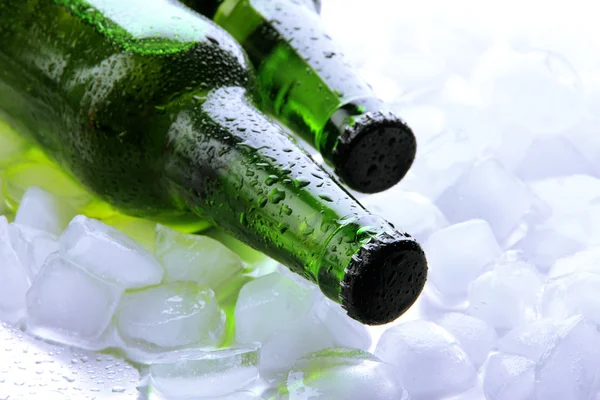 Botellas de cerveza con hielo, de cerca — Foto de Stock