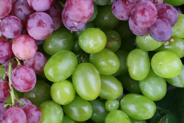 Érett zöld és lila szőlő közeli háttér — Stock Fotó