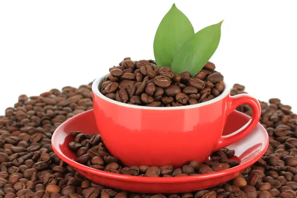 Kaffeebohnen in Tasse auf weißem Hintergrund — Stockfoto