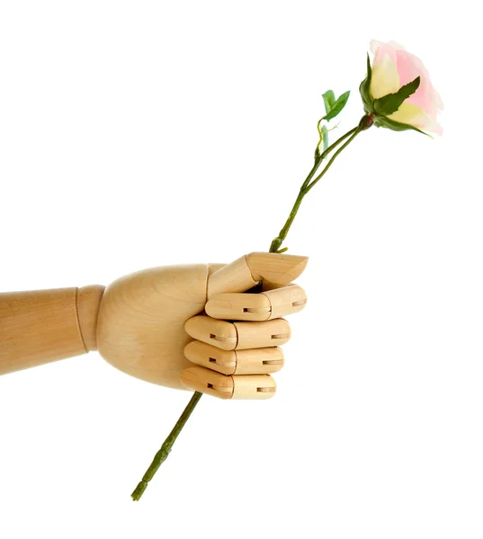 Rose in wooden hand isolated on white — Stock Photo, Image