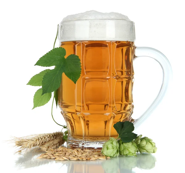 Glass of beer and hops, isolated on white — Stock Photo, Image