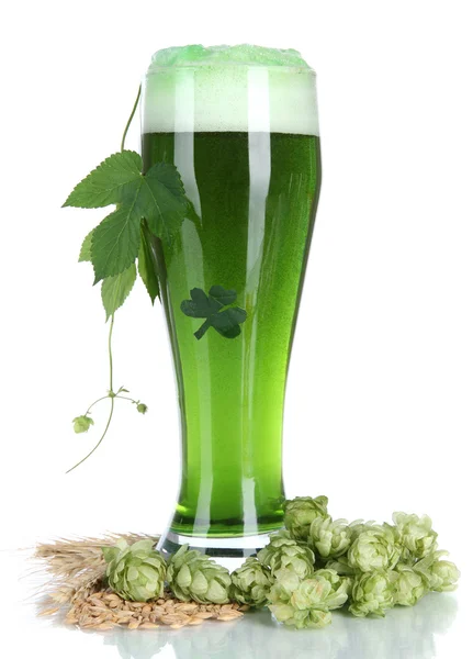 Glas grön öl och humle, isolerad på vit — Stockfoto